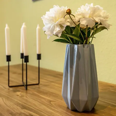 Zentrumsnahe In アパート