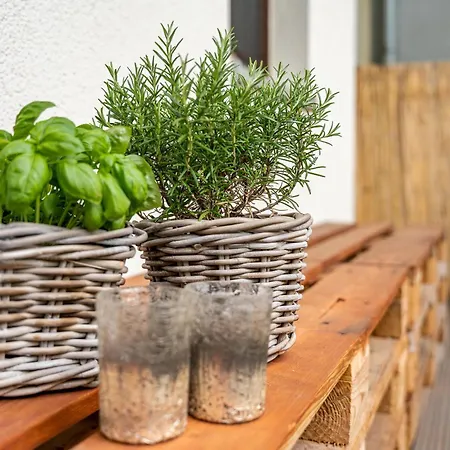 Zentrumsnahe In アパート *